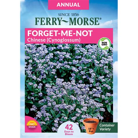 Forget Me Not Annual Flower Flower Seeds At