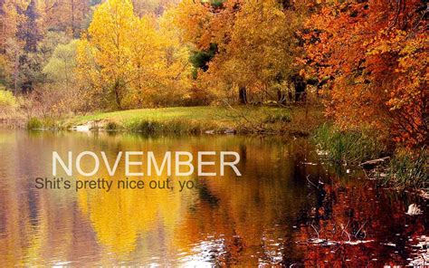 November Calendar Page Wallpapers And Images Wallpapers Pictures Photos