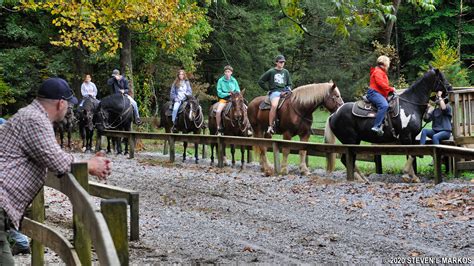 Great Smoky Mountains National Park Horseback Riding Bringing Your
