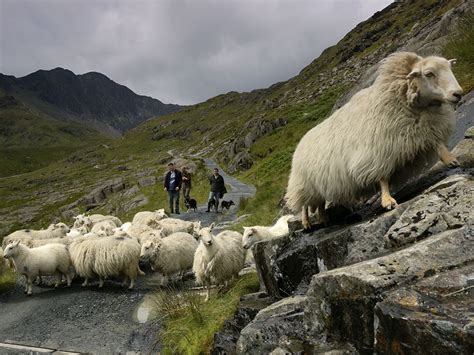 Snowdonia National Park Wales National Geographic Travel Daily Photo