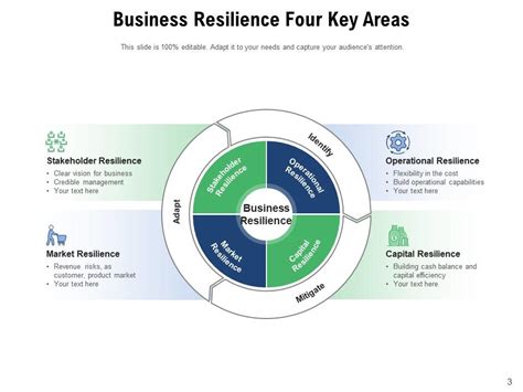 Resilience Business Leadership Continuity Strategic Management
