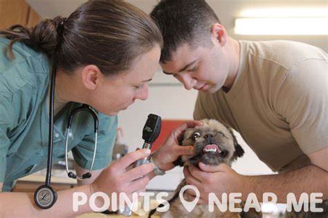 There's nothing more convenient than having a local veterinarian who can come to your. VET NEAR ME - Points Near Me