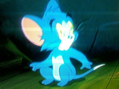Tom And Jerry Tales Thomas Rat Mouse Tom And Jerry Mouse Rat