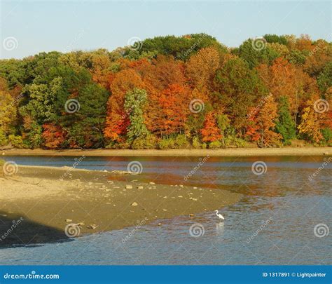 Autumn Beach On Lake Stock Image Image Of Colorful Nature 1317891