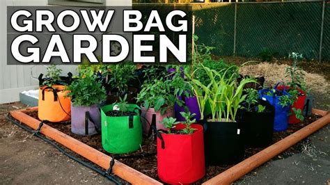 Start A Grow Bag Garden And Water It Easily Youtube