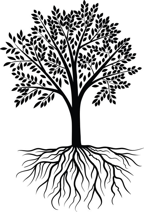 Roots Clipart Transparent Tree Leave Roots Transparent Tree Leave