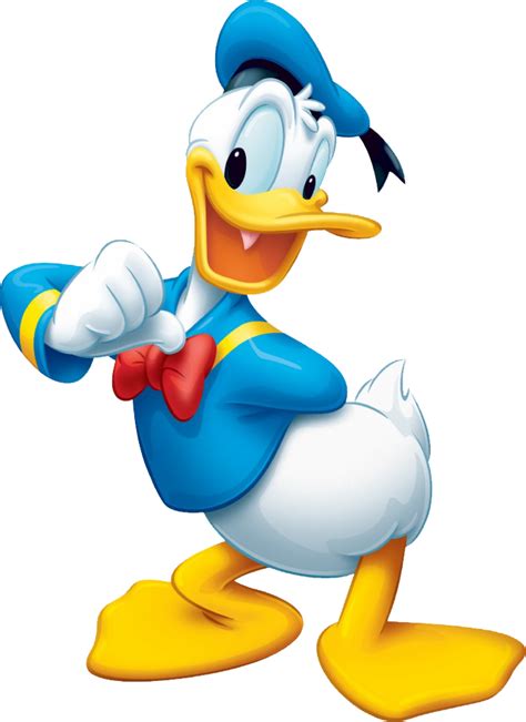 Donald Duck Walt Disney Animation Studios Wikia Fandom