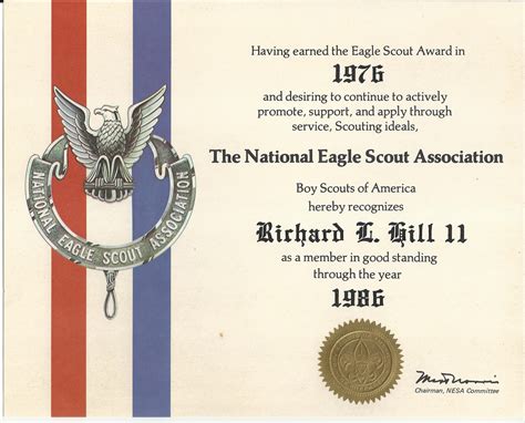 Eagle Boy Scout Award A New Journey