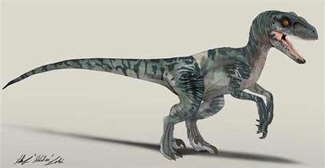 Jurassic World Velociraptor Delta By Nikorex On Deviantart