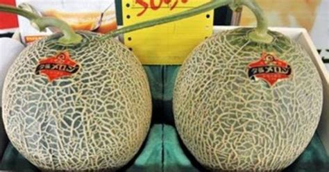 Someone Just Bought A Pair Of Melons Worth Rs 316 Lakh In Japan And We