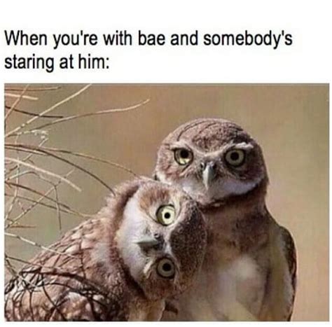 30 Funny Couple Memes That Only Couple Will Understand Sheideas