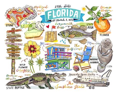 Florida Print State Symbols Illustration State Art Key Etsy