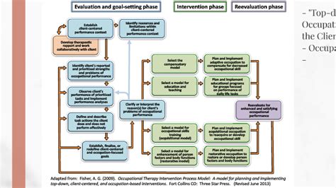 Occupational Therapy Model Process