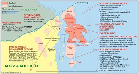 Palma is a town on the indian ocean coast of mozambique, lying south of the border with tanzania. Anadarko's Palma Afungi LNG plant in Northern Mozambique ...