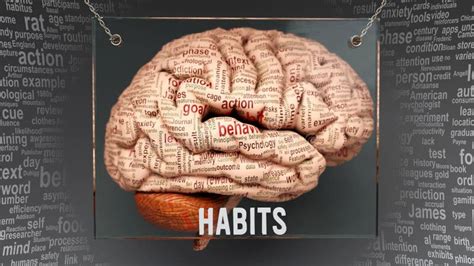 Habits In Human Brain Stock Illustration Illustration Of Concepts