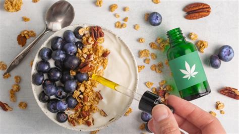 15 Things You Need To Know About Cannabis Infused Food