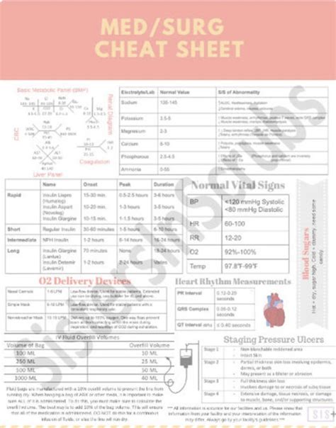 Nursing Cheat Sheets Nursing School Nurse T Digital Etsy