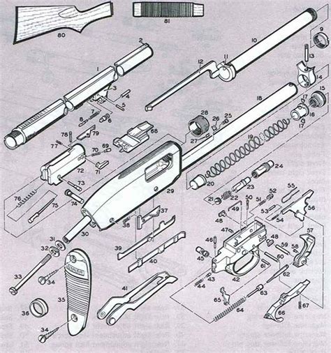 Remington Model Firearms Assembly Bev Fitchett S Guns