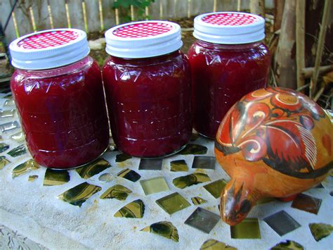 I am just trying to think of what would be easy also they would be able to make the cactus fruit wine i found with ease and mixing the two one doesn't know how palm wine was produced in ancient times. Fruit from Prickly Pear Cactus make a delicious homemade ...