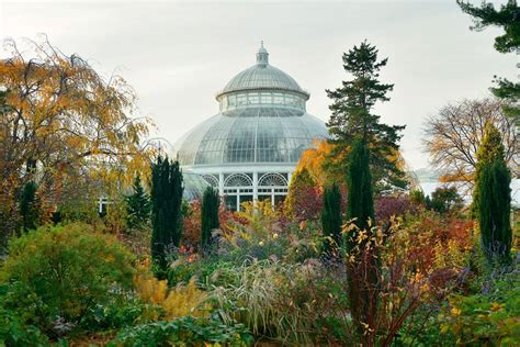 New york botanical garden tours and tickets. New York Botanical Garden, New York City - RueBaRue