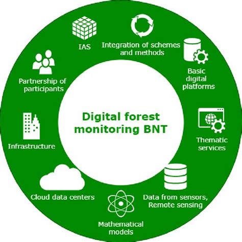 Components Of The Bnt Forest Digital Monitoring Download Scientific