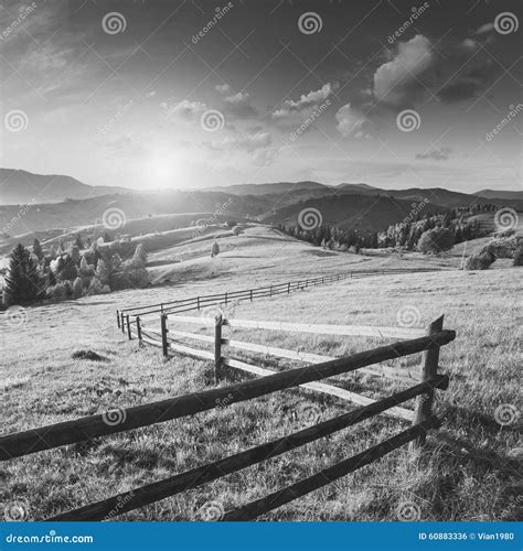 Carpathians Mountain Village Meadow Black And White Stock Photo