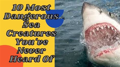 The 10 Most Dangerous Sea Creatures Youve Never Heard Of Charlie