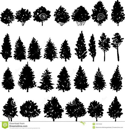 Set Of Trees Silhouettes Stock Vector Illustration Of Pine 47611942