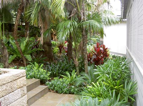 Tropical Garden Tropical Landscape Design Tropical Garden Design