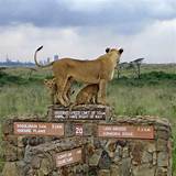 Nairobi National Park Safari Tour Images