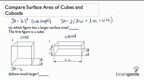 143 Compare Surface Area Of Cubes And Cuboids Youtube