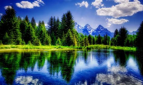 Best Nature Background 2560x1520 Download Hd Wallpaper Wallpapertip