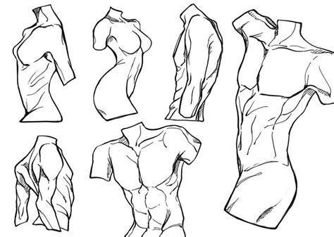 Figure Drawing Practice Icelogs Diary Female Human Body Drawing