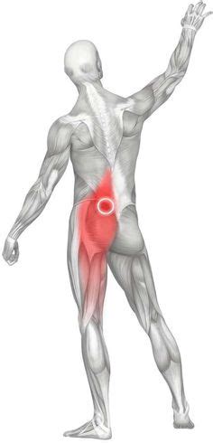 If you have low back pain, hip pain or various other tightness and stress in your body, stretching the psoas is part of the group of muscles known as hip flexors, and it is the largest and strongest were you unable to hold it for 30 seconds above 90 degrees? Total Knee joint replacement picture Before and After the ...
