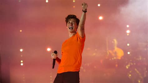 Shawn Mendes Cancels Rest Of Wonder Tour To Focus On Mental Heal