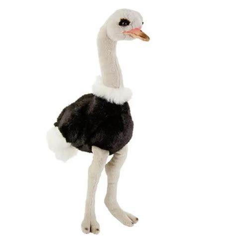Big Stuffed Toy Ostrich Plush Live Ostrich For Sale Buy Baby Ostrich