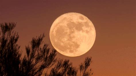 ¿cuándo Ver La Superluna De Gusano La última Luna Llena De 2019 El
