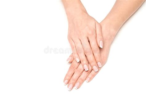 hermosas manos femeninas con manicura francesa sobre fondo gris claro imagen de archivo imagen