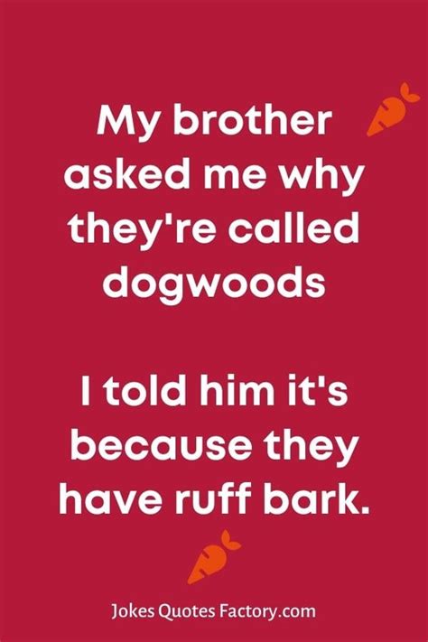 45 Hilarious Brother Jokes That Will Make You Laugh Harder 2024