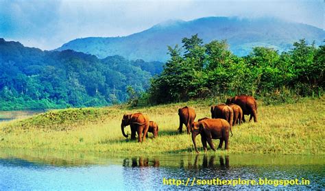 Neyyar Wildlife Sanctuary South India Tourism