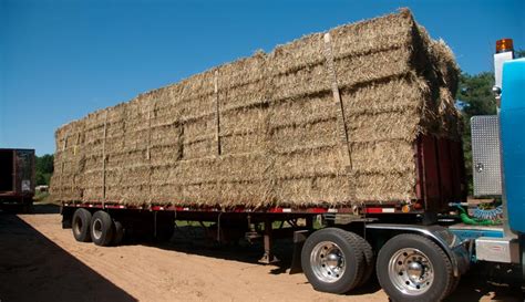 Should You Measure Hay By The Bale Or By Volume Hobby Farms