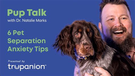 Separation Anxiety Tips For Your Puppy Trupanion Pup Talk Youtube