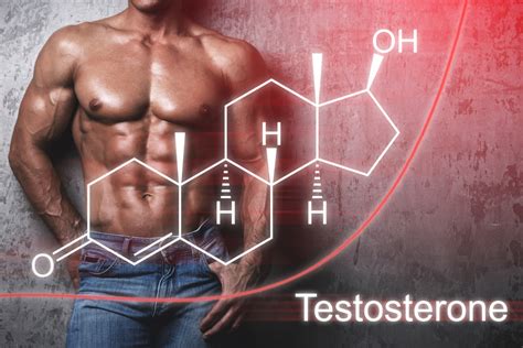 testosterone levels in men what is it good for
