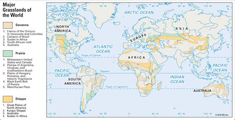 Grasslands Of The World Upsc