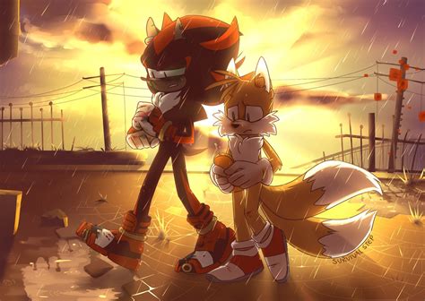Survivalstep 🎧🐓 On Twitter Sonic And Shadow Shadow The Hedgehog Sonic