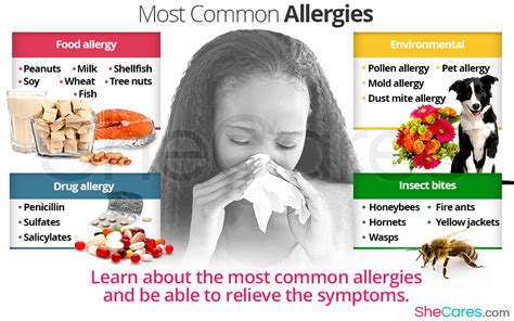 What Dogs Cause The Most Allergies