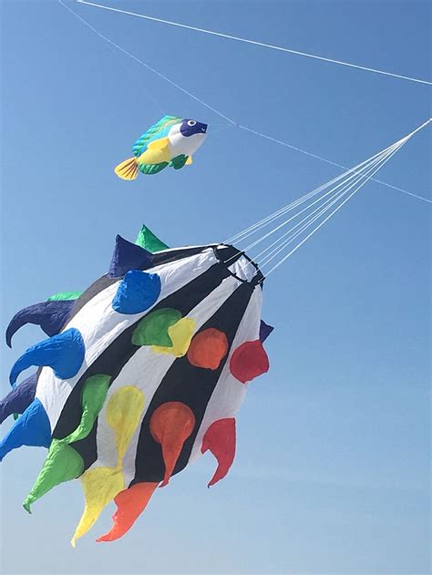 Three Colorful Kites Flying In The Sky On A Sunny Day