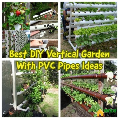 33 Best Diy Vertical Garden With Pvc Pipes For Small Home