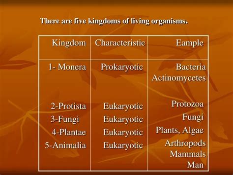 Ppt There Are Five Kingdoms Of Living Organisms Powerpoint
