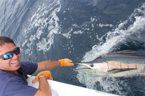 How To Fish For Marlin The Complete Guide